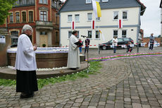 Bluemteppich auf dem Naumburegr Marktplatz (Foto: Karl-Franz Thiede)